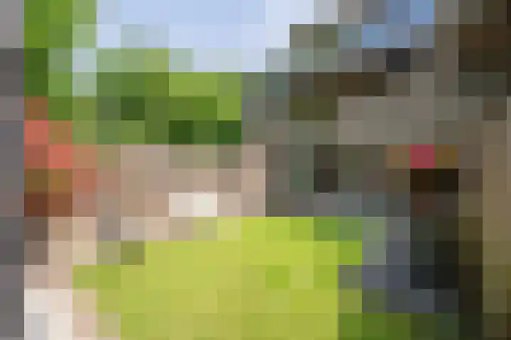 Ardennen 4 Leusden thumbnail 16