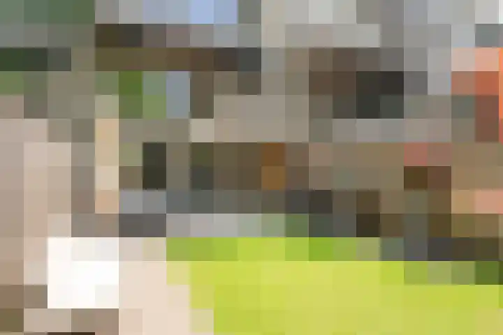 Ardennen 4 Leusden thumbnail 17