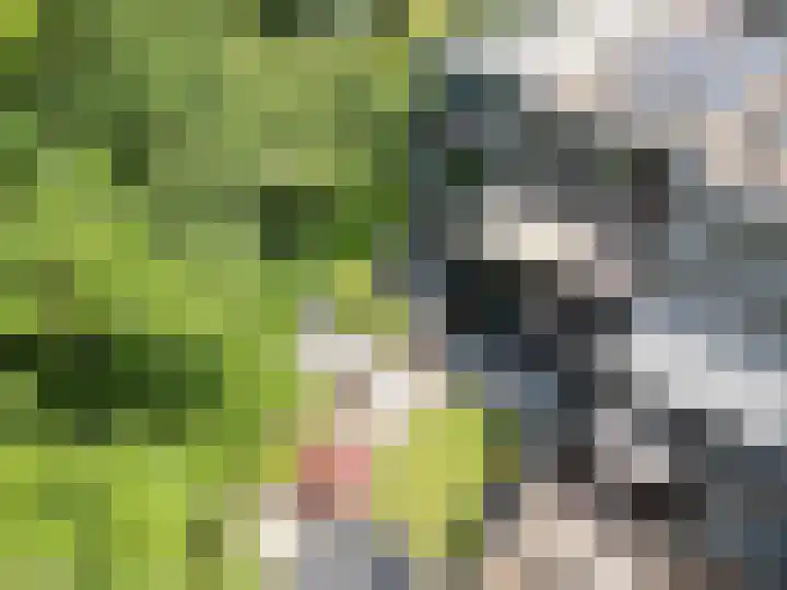 Ardennen 4 Leusden thumbnail 18