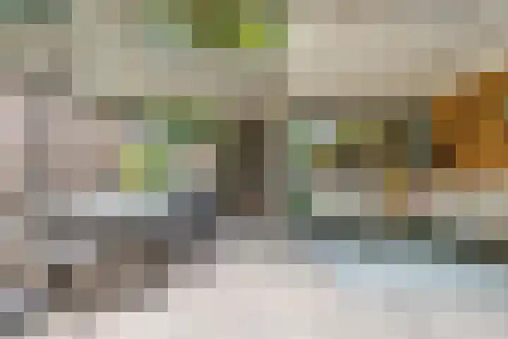 Ardennen 4 Leusden thumbnail 19
