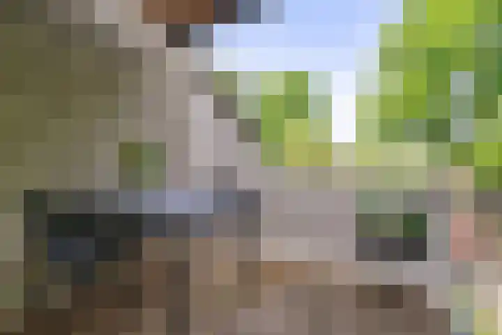 Ardennen 4 Leusden thumbnail 32