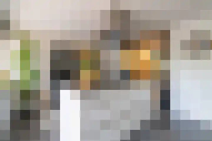 Ardennen 4 Leusden thumbnail 4