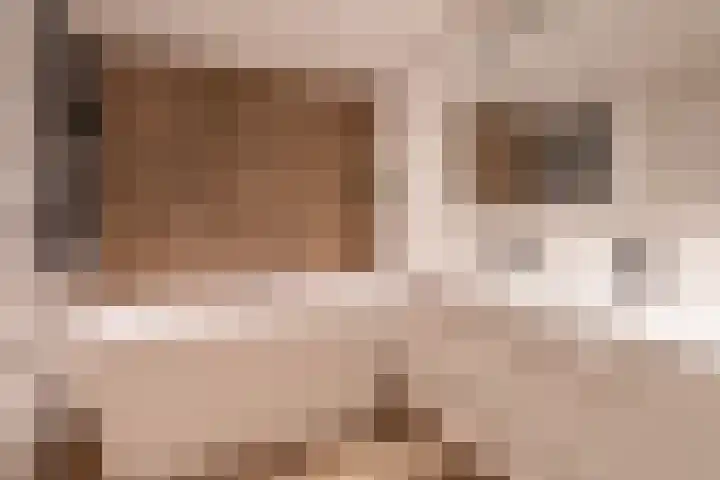 Ardennen 4 Leusden thumbnail 43