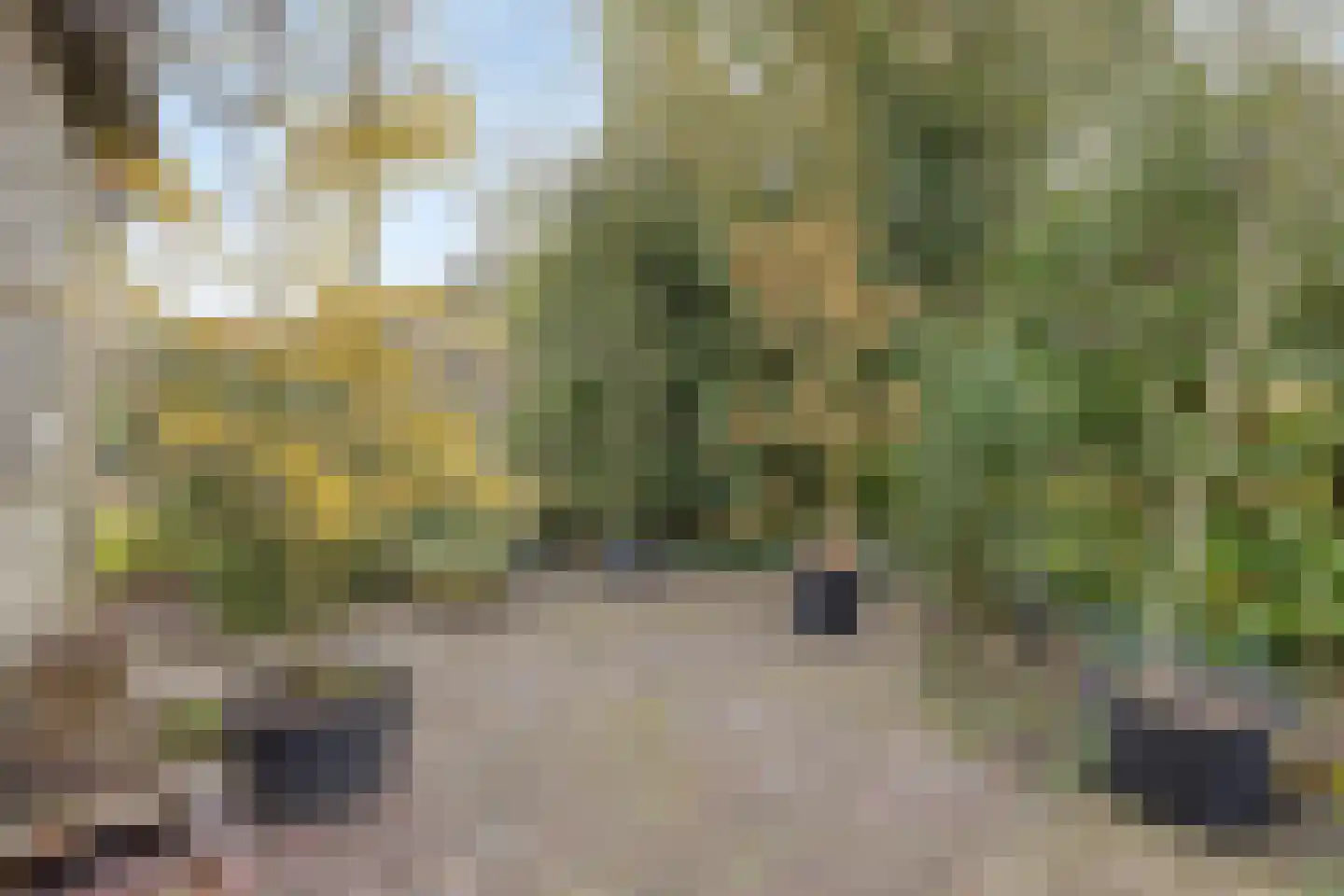 Ardennen 45 Helmond thumbnail 42