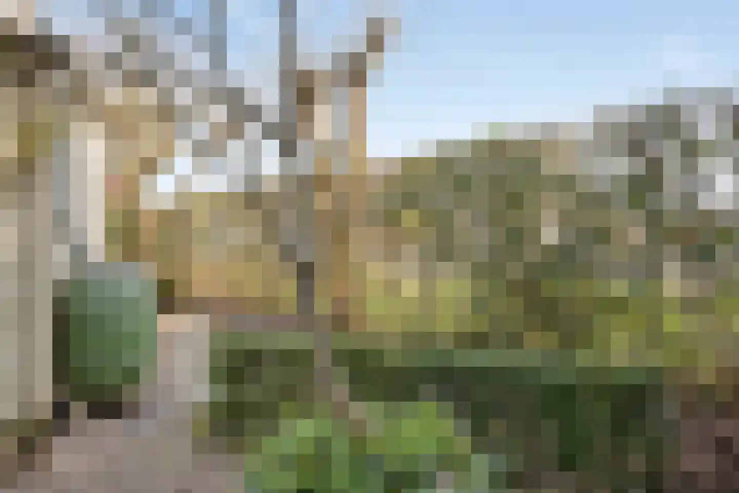 Ardennen 45 Helmond thumbnail 43