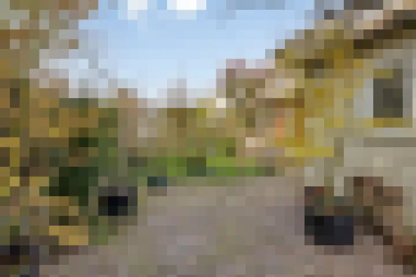 Ardennen 45 Helmond thumbnail 48