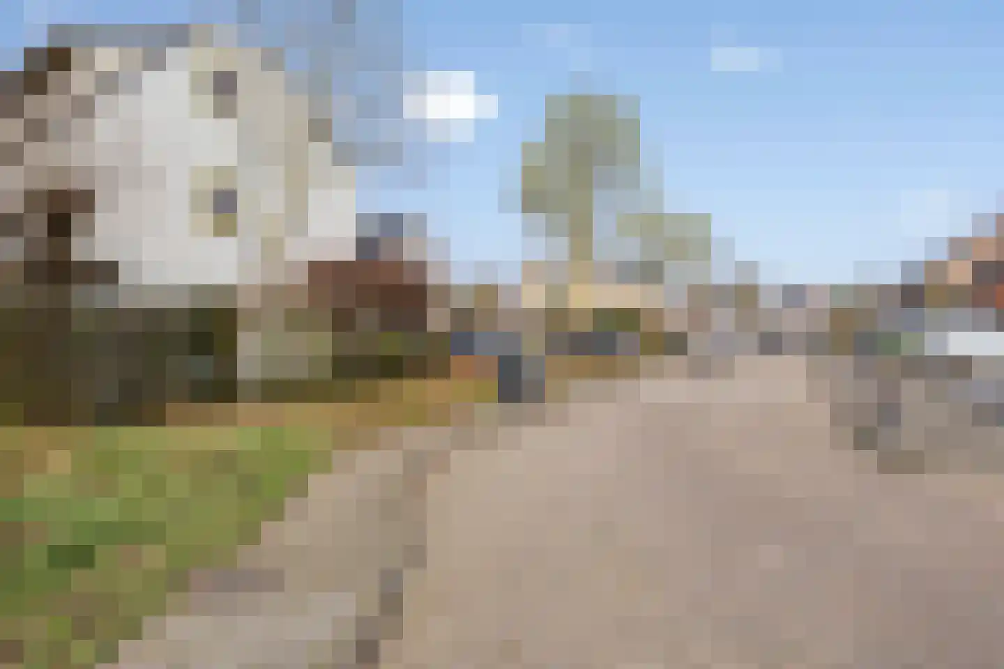 Ardennen 45 Helmond thumbnail 9