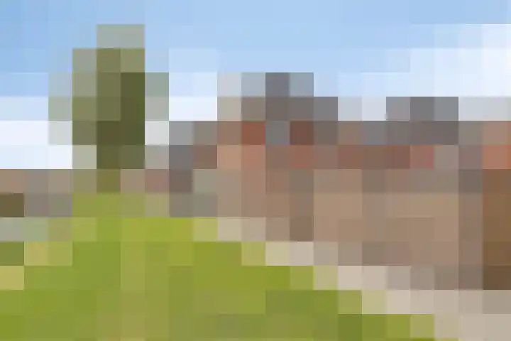 Ardennen 46 Purmerend thumbnail 52