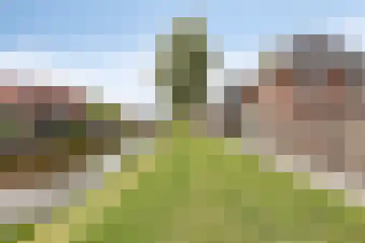 Ardennen 46 Purmerend thumbnail 53