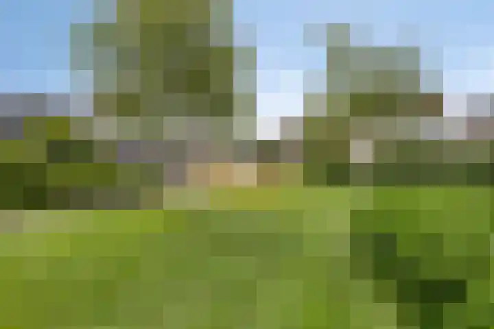 Ardennen 46 Purmerend thumbnail 54