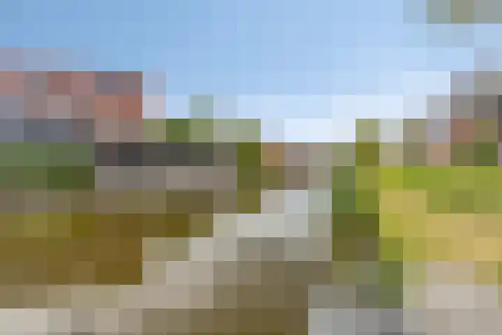 Ardennen 46 Purmerend thumbnail 56