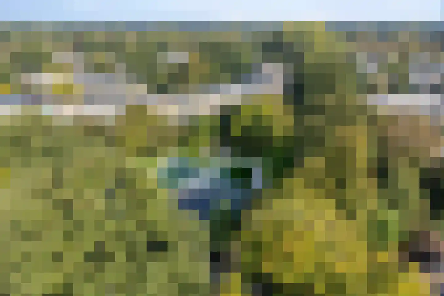 Ardennen 48 Leusden thumbnail 11