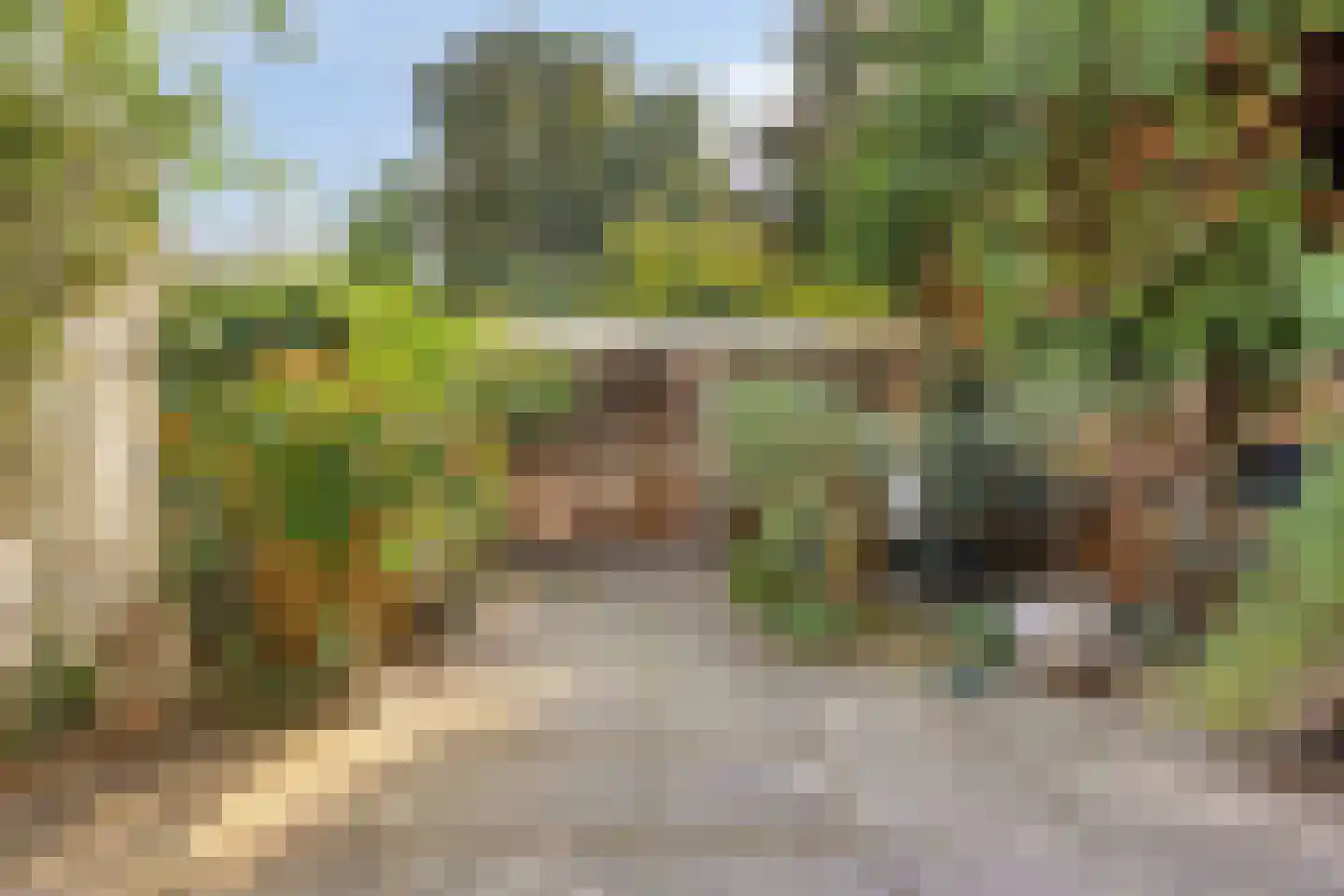 Ardennen 48 Leusden thumbnail 27