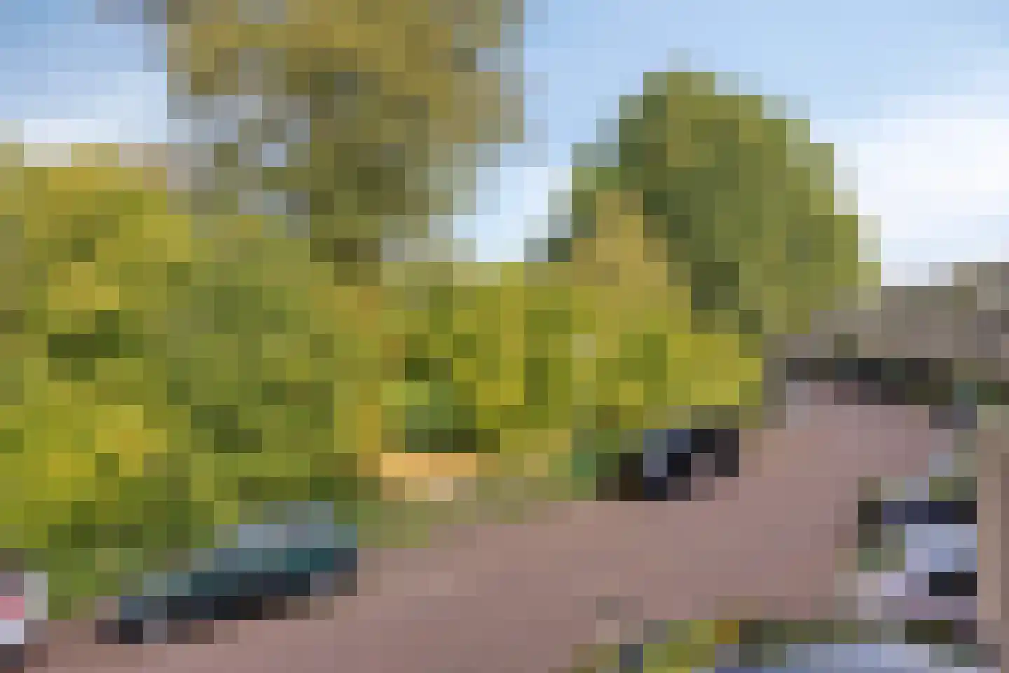 Ardennen 48 Leusden thumbnail 29