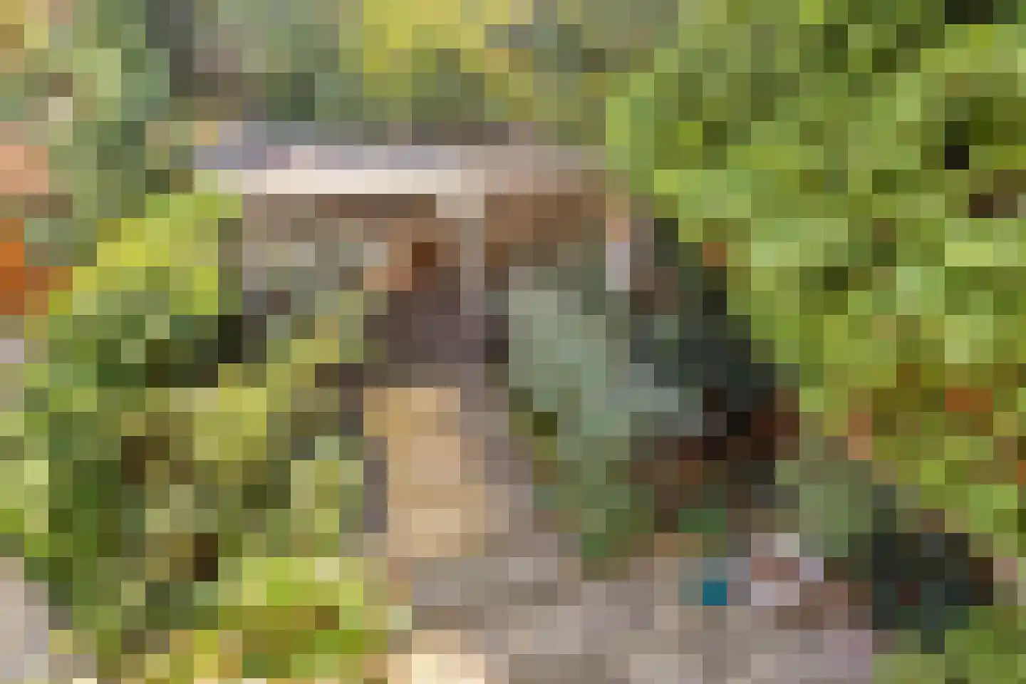 Ardennen 48 Leusden thumbnail 8