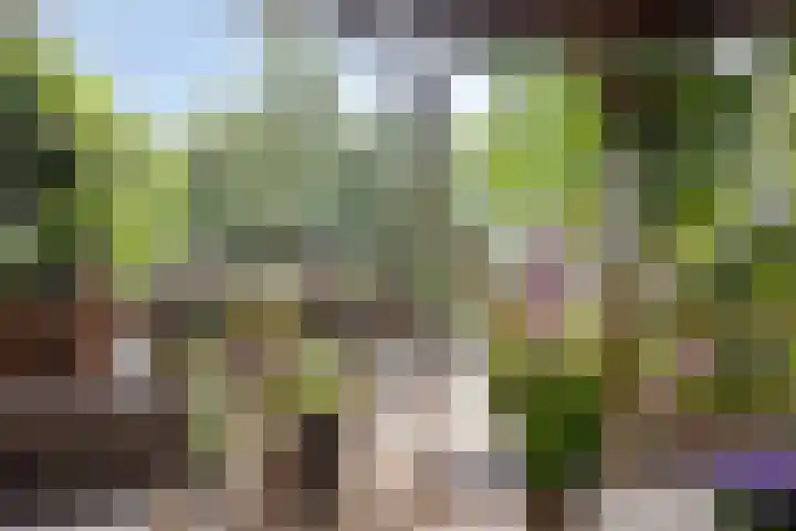 Ardennen 51 Helmond thumbnail 28