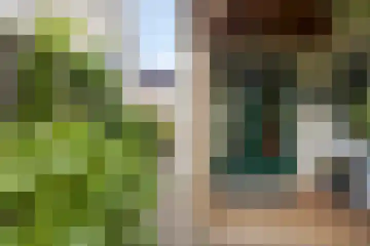 Ardennen 51 Helmond thumbnail 32