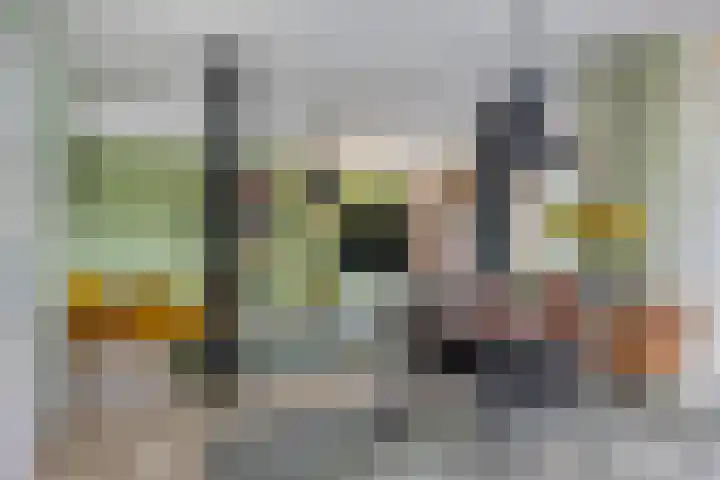 Ardennen 51 Helmond thumbnail 6