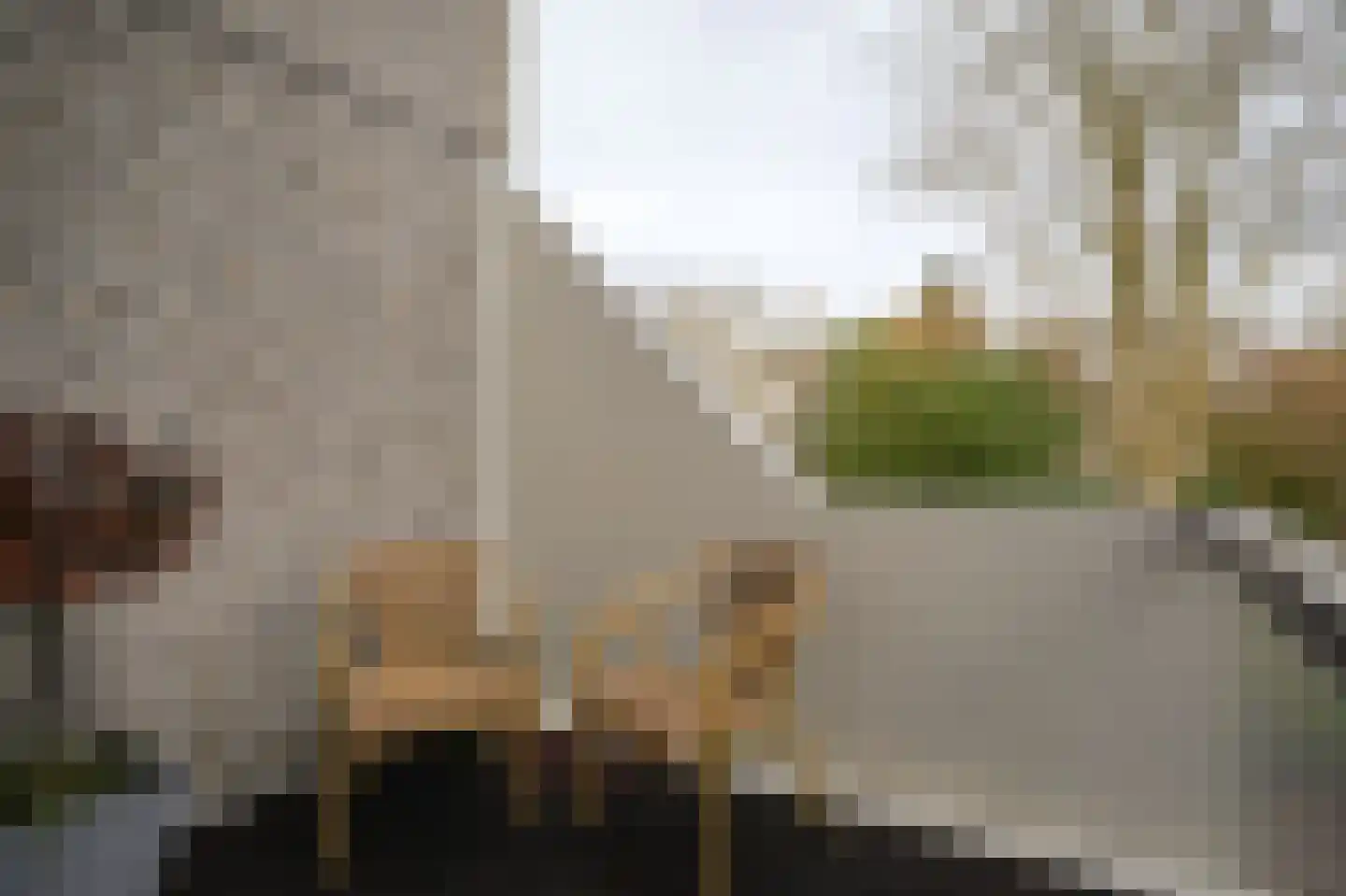 Ardennen 54 Leusden thumbnail 14