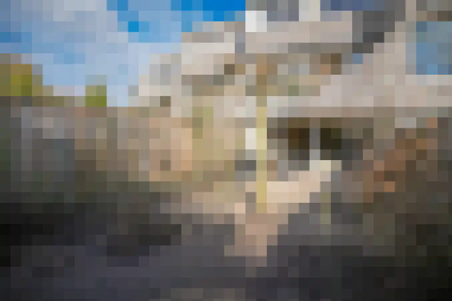 Ardennen 54 Leusden thumbnail 33