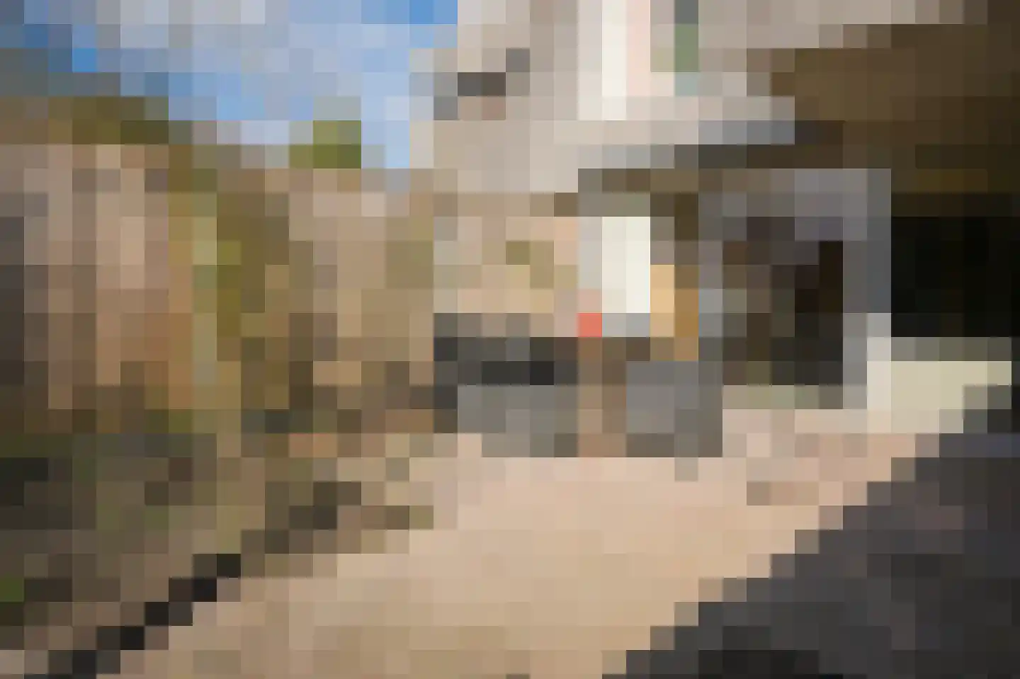 Ardennen 54 Leusden thumbnail 36