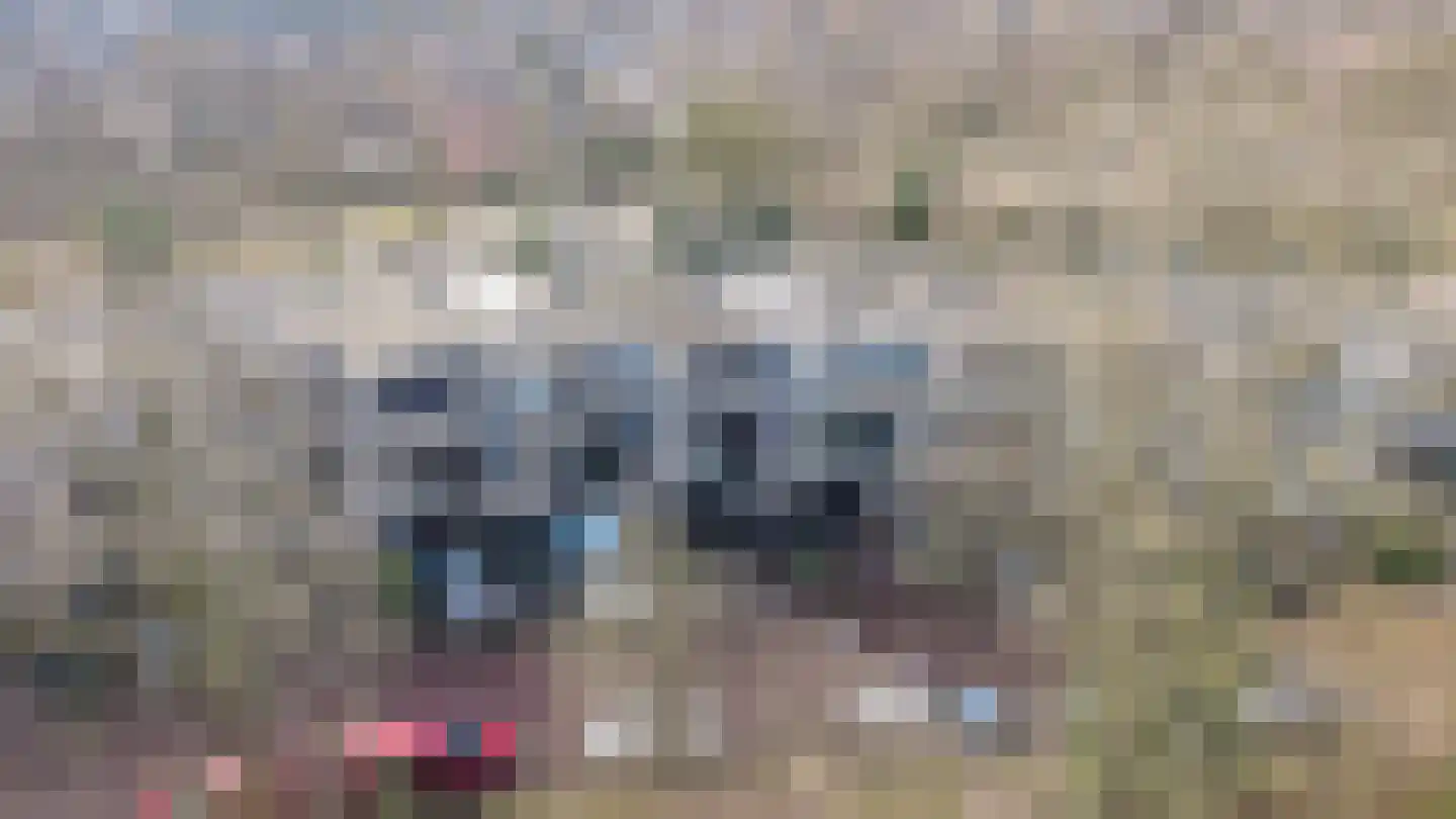 Ardennen 54 Leusden thumbnail 41
