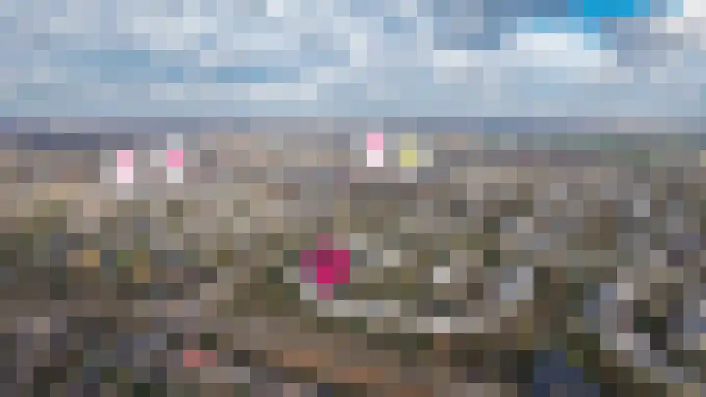 Ardennen 54 Leusden thumbnail 45