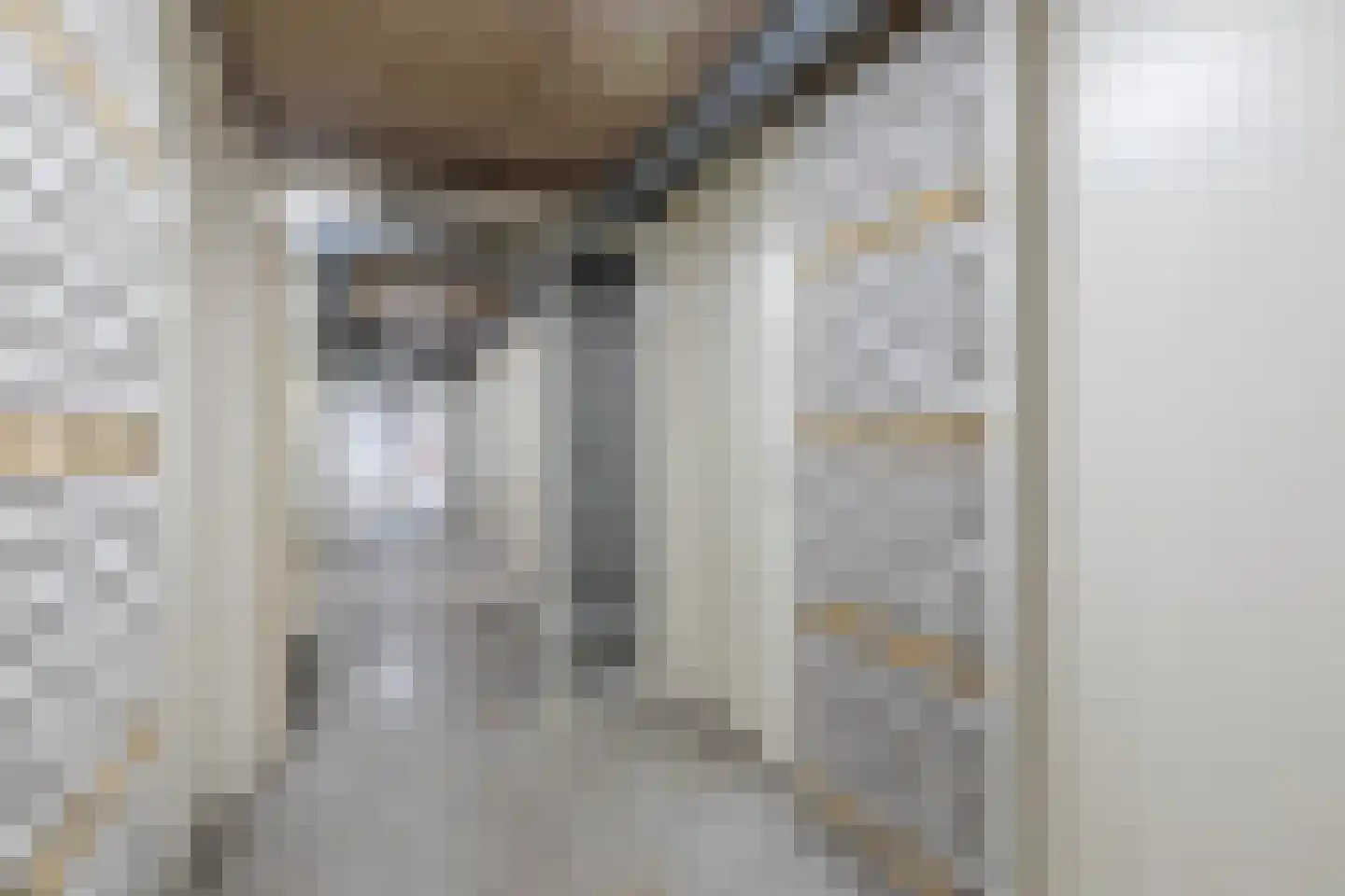 Ardennenlaan 166 Amsterdam thumbnail 37