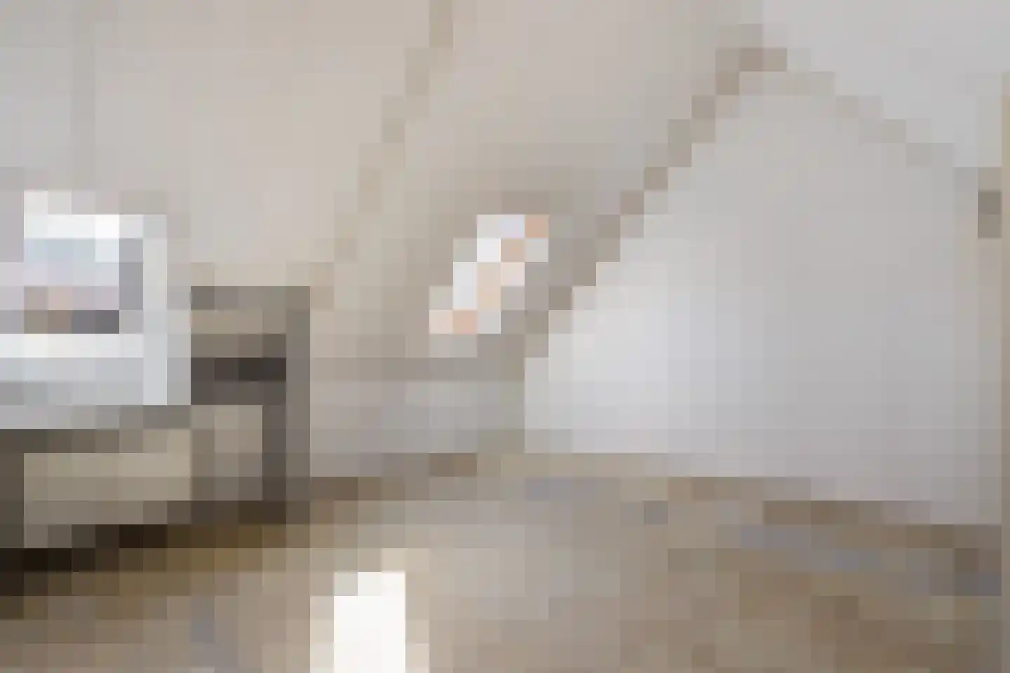 Ardennenlaan 22 Oldenzaal thumbnail 21