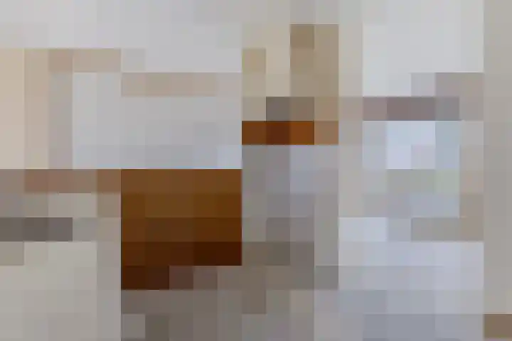 Ardennenlaan 38 Heemskerk thumbnail 11