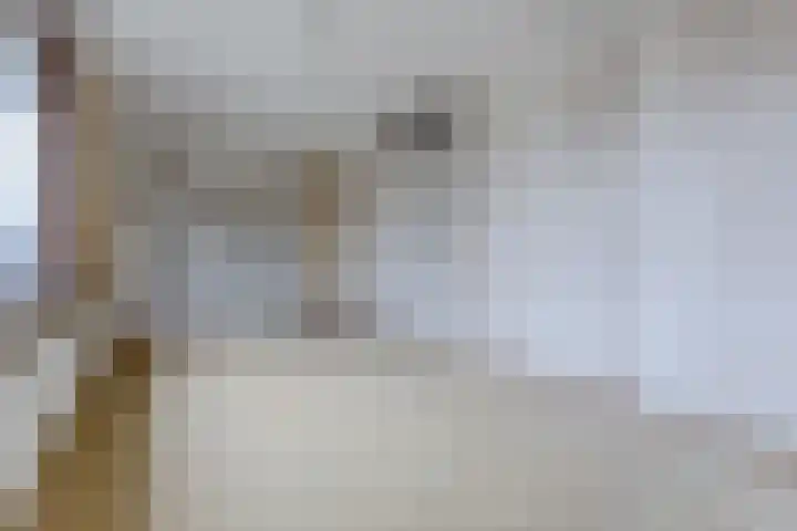 Ardennenlaan 38 Heemskerk thumbnail 14