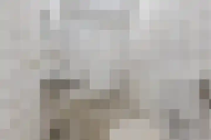Ardennenlaan 38 Heemskerk thumbnail 18