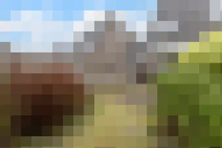 Ardennenlaan 38 Heemskerk thumbnail 24