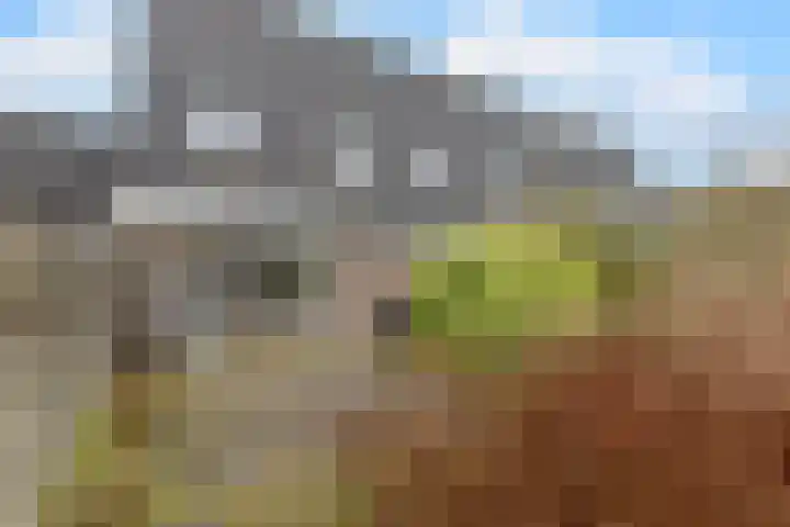 Ardennenlaan 38 Heemskerk thumbnail 25