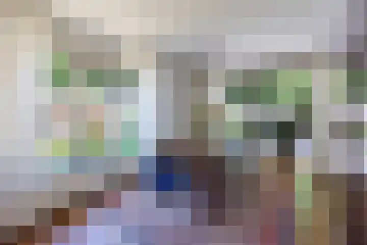 Ardennenlaan 6 Venray thumbnail 13