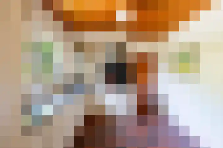 Ardennenlaan 6 Venray thumbnail 18