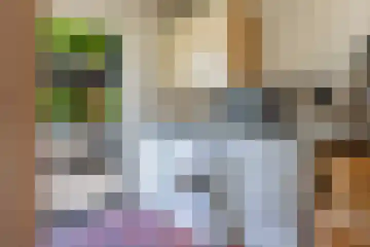 Ardennenlaan 6 Venray thumbnail 20