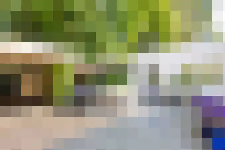 Ardennenlaan 6 Venray thumbnail 35