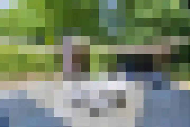 Ardennenlaan 6 Venray thumbnail 37