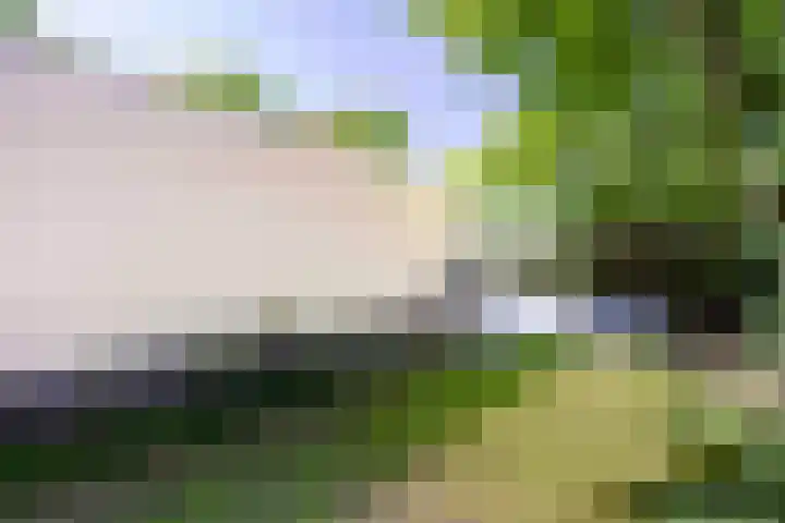 Ardennenlaan 6 Venray thumbnail 38