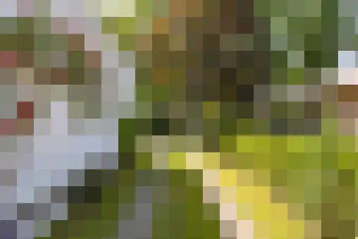 Ardennenlaan 6 Venray thumbnail 39