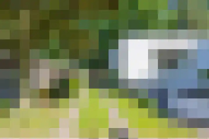 Ardennenlaan 6 Venray thumbnail 40