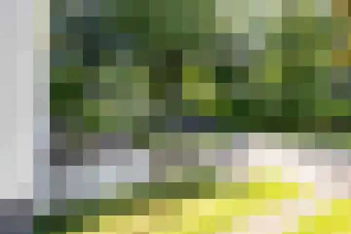 Ardennenlaan 6 Venray thumbnail 41