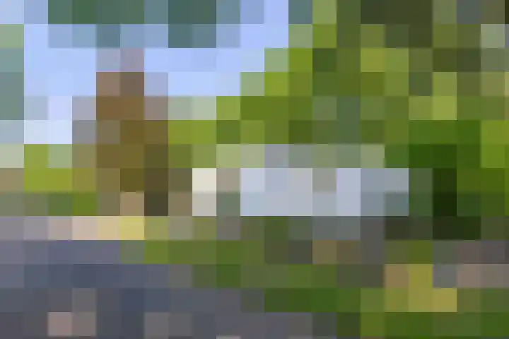 Ardennenlaan 6 Venray thumbnail 42