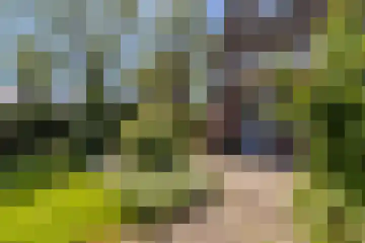 Ardennenlaan 65 Heemskerk thumbnail 12