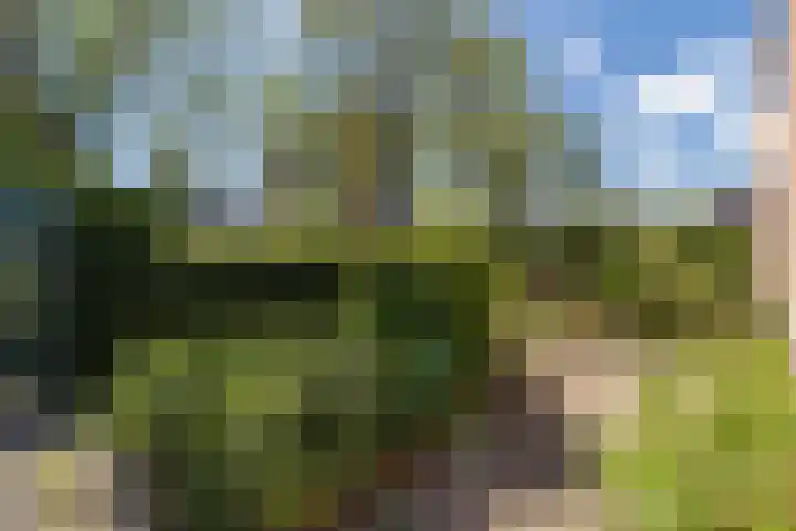 Ardennenlaan 65 Heemskerk thumbnail 13