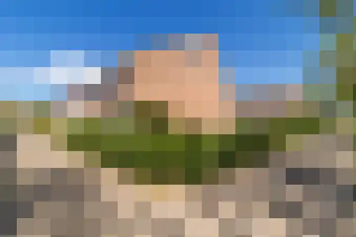Ardennenlaan 65 Heemskerk thumbnail 30