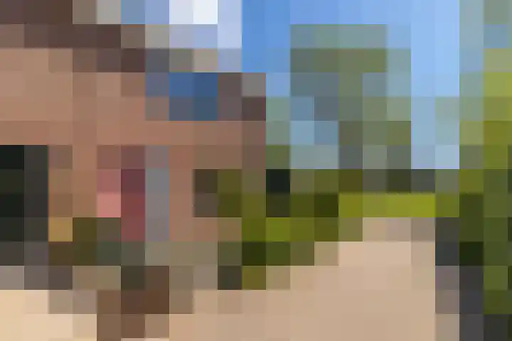 Ardennenlaan 65 Heemskerk thumbnail 36