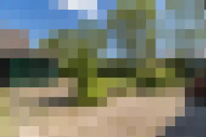 Ardennenlaan 65 Heemskerk thumbnail 9