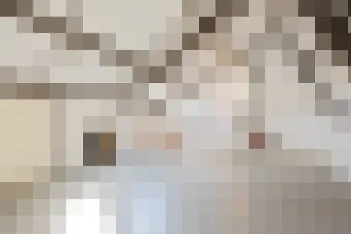 Ardennenlaan 76 Heemskerk thumbnail 24
